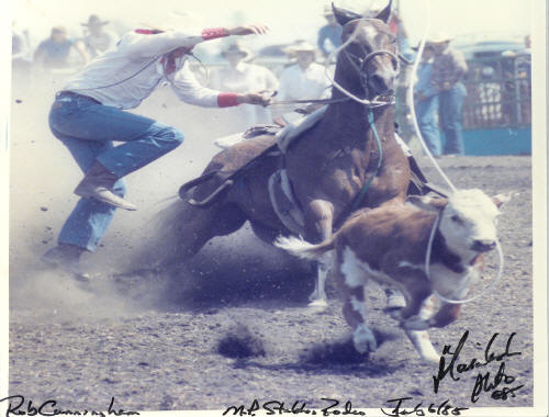 Rodeophotos.ca Gallery of Photos