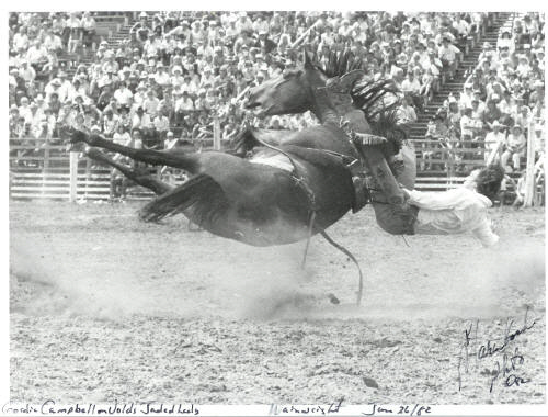 Rodeophotos.ca Gallery of Photos