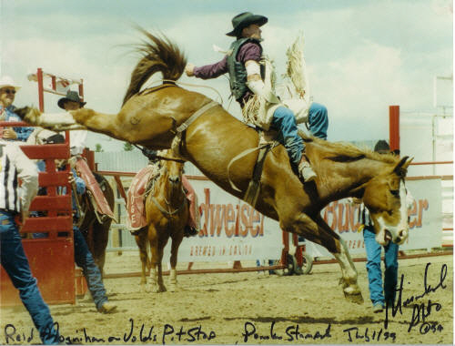 Rodeophotos.ca Gallery of Photos